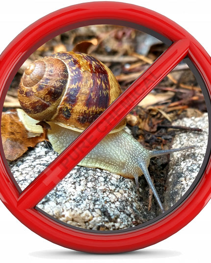 Geležies sulfatas 5kg, birus, grynas, be priedų, kibirėlyje su plomba