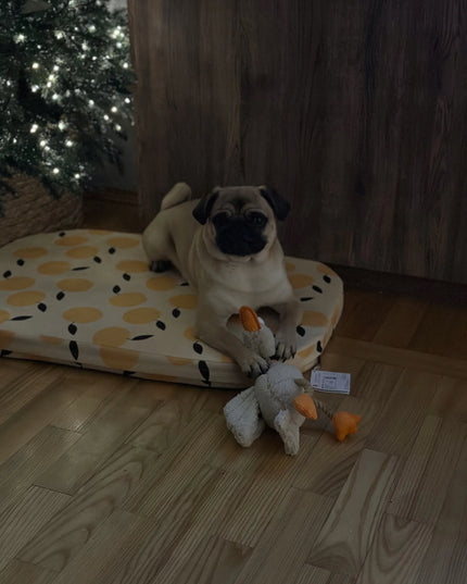 GiGwi šunų žaislas aportavimui, tekstilinis su virve, patvarus, 36 cm