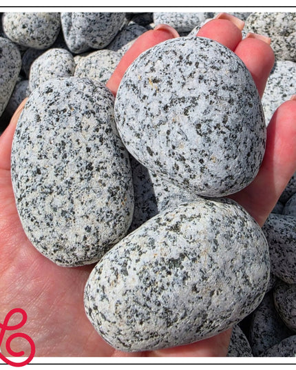 Granitinis akmuo „Dalmatinas“ pilkas dekoratyvinis akmuo 4–6 cm sodui 1 kg
