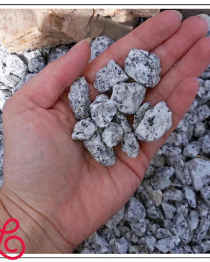 Granito skaldos „Dalmatinier“ dekoratyvinis akmuo 16–32 mm sodui, 5 kg