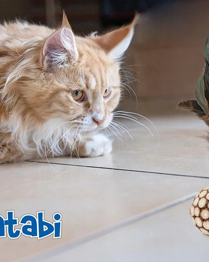 Happet matatabi rutulys su plunksna, antistresinis žaislas katėms – nuo nuobodulio