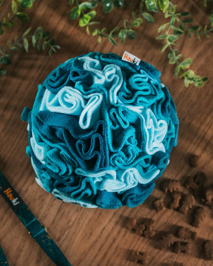 Hauki uostymo kamuolys šunims | 15 cm dydis | Aqua raštas