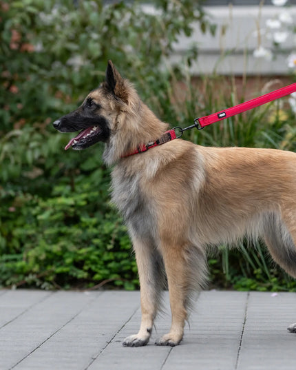 HUGGY DOGGY XS šuns antkaklis su graviruotu vardu ir telefono numeriu