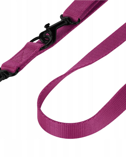 Ilga reguliuojama pavadėlis šunims, Bordo spalvos | CHABA | Patvarus 16 mm – 260 cm