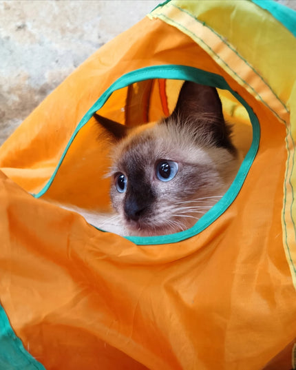 Ilgas spyruoklinis tunelis-žaislas katėms FIGARO