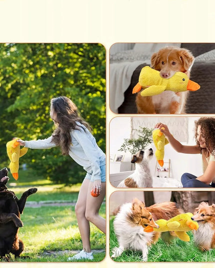 Interaktyvi girgždanti antis šunims – minkštas žaislas, 25 cm