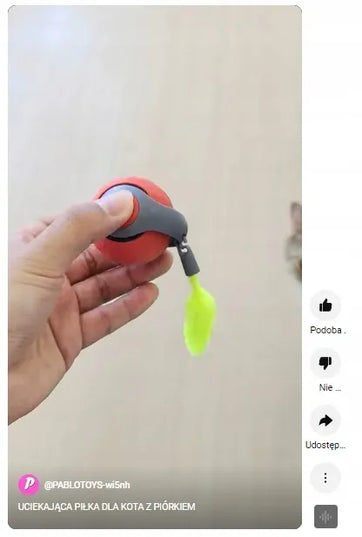 Interaktyvus besibėgantis kamuoliukas katei su plunksnele, LED lempute ir vibracija PetGravity USB