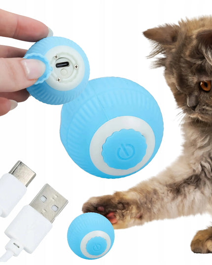 Interaktyvus judantis žaislas katėms ir šunims BestHurt, USB
