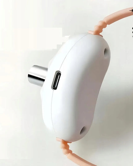Interaktyvus LED antkaklis katei ir šuniui, elektroninis treniruočių žaislas su USB
