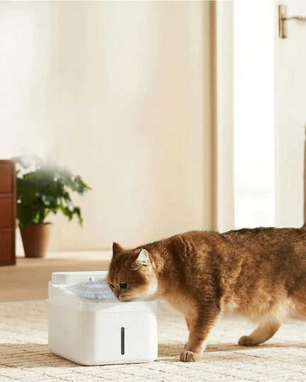 Išmanioji gertuvė katėms Xiaomi Smart Pet Fountain 2 | fontanas | 3 L | Akumuliatorius