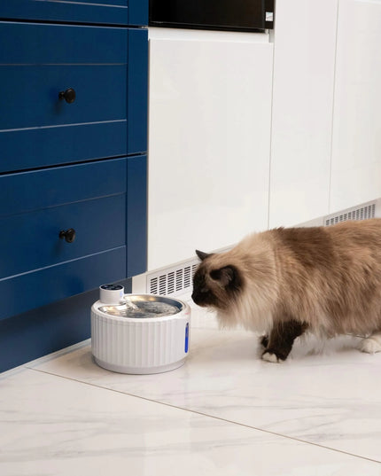 Išmanioji katės girdykla-fontanas su jutikliu ir baterija PurrFlow KittyTech