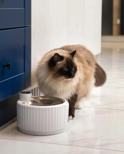 Išmanioji katės girdykla-fontanas su jutikliu ir baterija PurrFlow KittyTech