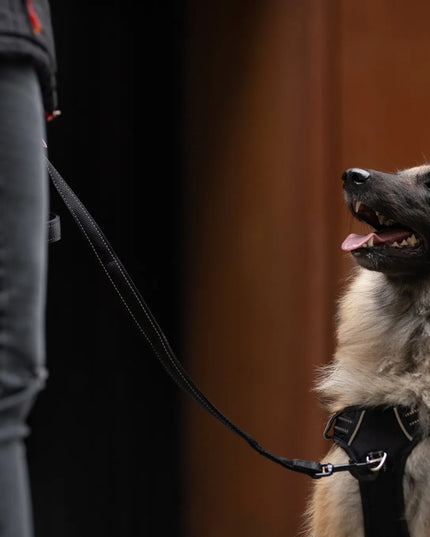 Juodas tvirtas 2m HUGGY DOGGY pėsčiųjų pavadėlis šuniui, tradicinis, M dydis