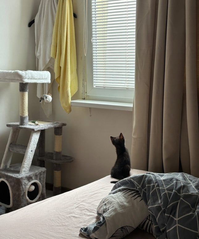 Katės draskyklė su guoliu ir nameliu, 4 aukštų draskymo bokštas 107 cm Royal&Petsky