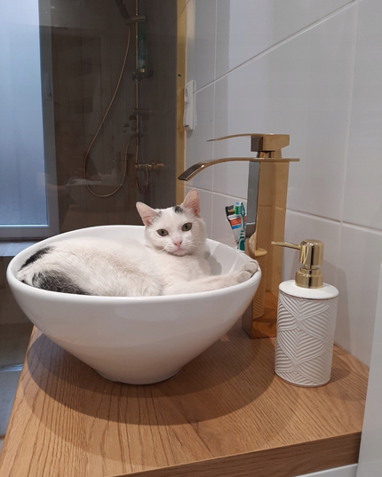 Aukštas praustuvo maišytuvas su kaskadiniu vandens srautu, auksinis (Yoka Home)