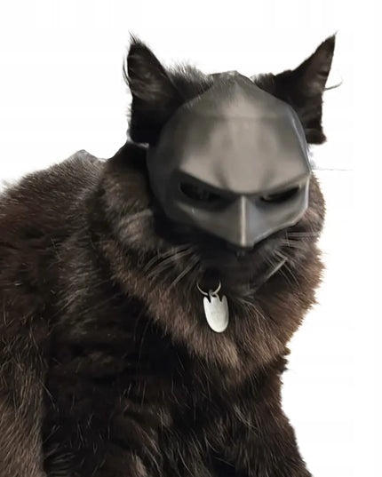 Katino kaukė Batman Bat-Cat kostiumas Helovino viral TikTok