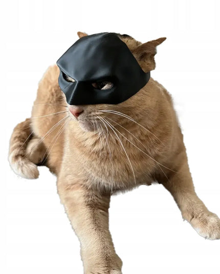 Katino kaukė Batman Bat-Cat kostiumas Helovino viral TikTok