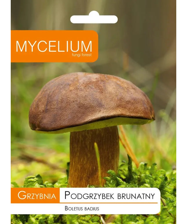 Kazlėkų (Podgrzybek brunatny) grybiena grybams sode