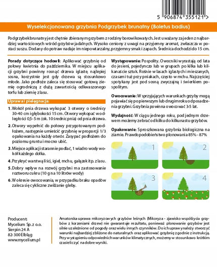 Kazlėkų (Podgrzybek brunatny) grybiena grybams sode