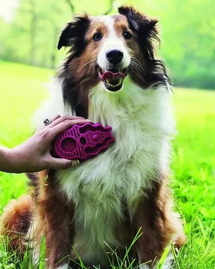 KONG Zoom Groom šepetys šunims, skirtas visų tipų kailiui