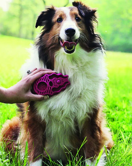 KONG ZoomGroom Raspberry L dydžio guminis šepetys šunims