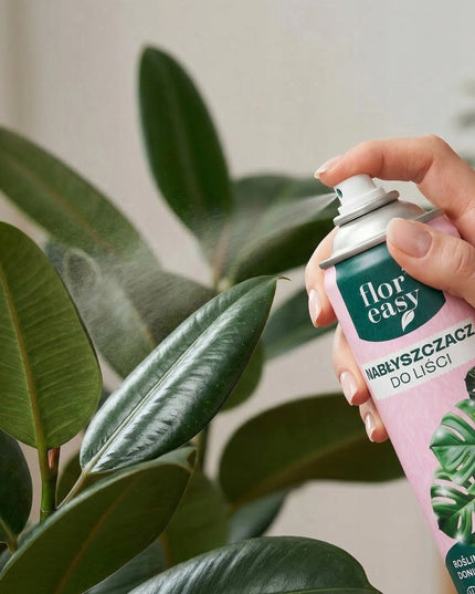 Lapų blizgiklis, purškiamas preparatas kambariniams augalams, „floreasy“, 300 ml
