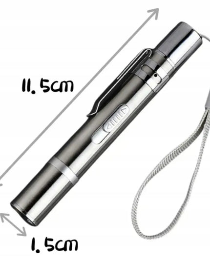 Lazerinis žaislas katėms 3in1 su lazerine rodykle ir USB žibintuvėliu