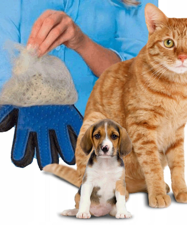 LAZY GLOVE pirštinė šunų ir kačių kailiui šukuoti