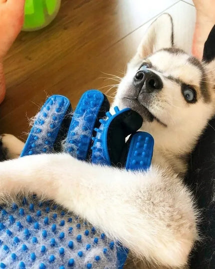 LAZY GLOVE pirštinė šunų ir kačių kailiui šukuoti