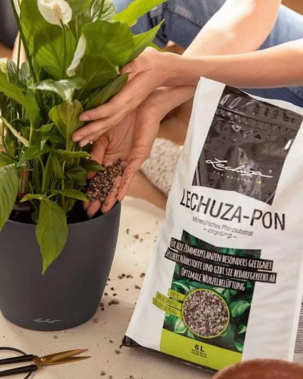 LECHUZA PON augalų substratas granuliuotas 6 l