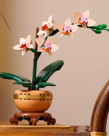 LEGO 10343 ICONS Botanicals Mažoji orchidėja