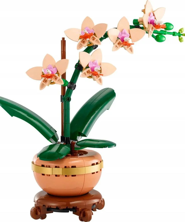LEGO 10343 ICONS Botanicals Mažoji orchidėja