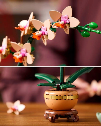 LEGO 10343 ICONS Botanicals Mažoji orchidėja
