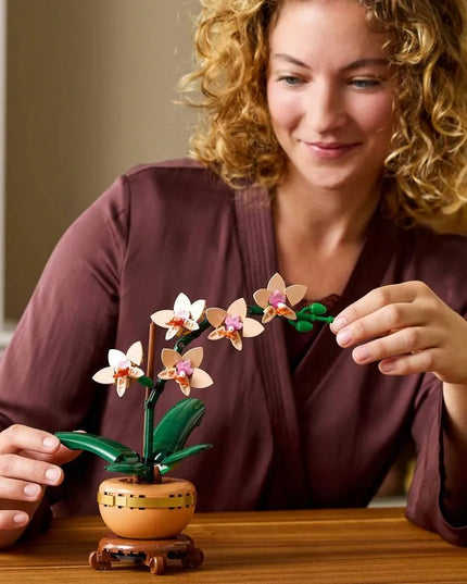 LEGO 10343 ICONS Botanicals Mažoji orchidėja