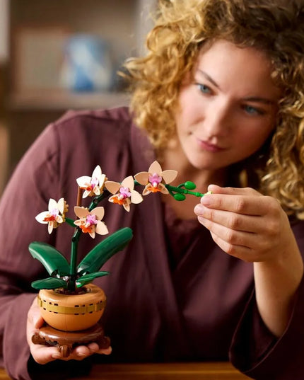 LEGO 10343 ICONS Botanicals Mažoji orchidėja
