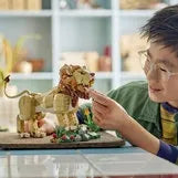 LEGO Creator 3 viename 31386 Laukiniai gyvūnai: Didingas liūtas