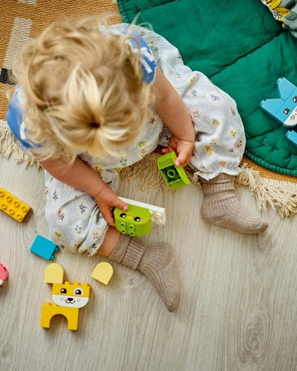 LEGO DUPLO Kūrybiški gyvūnėliai 3 viename 10477