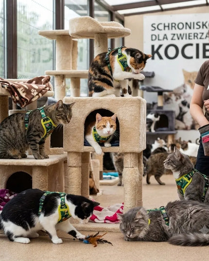 Lengvos reguliuojamos Ukory petnešos be spaudimo katėms, žalios su lapais, XS