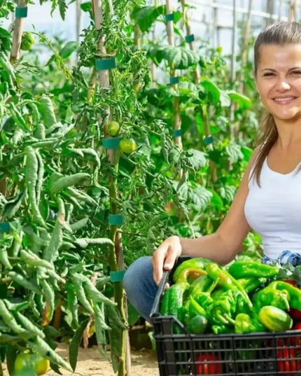 Lipnių dirželių juosta augalams, pomidorams, krūmams ir laidams tvirtinti, žalia, 10 m