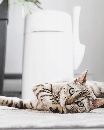 LitterLocker Design konteineris-šiukšliadėžė panaudotam kraikui su kastuvėliu + kasetė