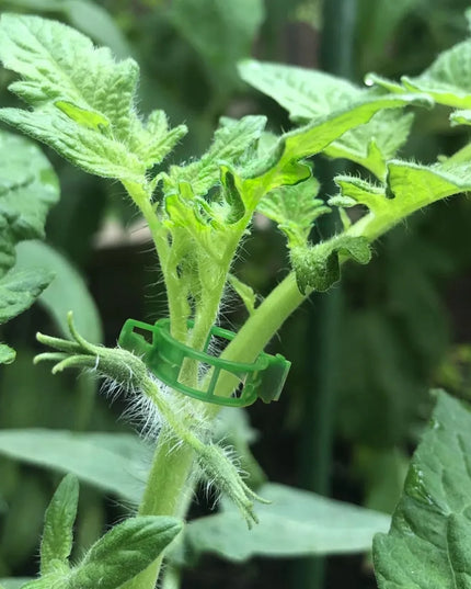 Martom spaustukai augalams, pomidorams, pupelėms ir ūgliams, 100 vnt.