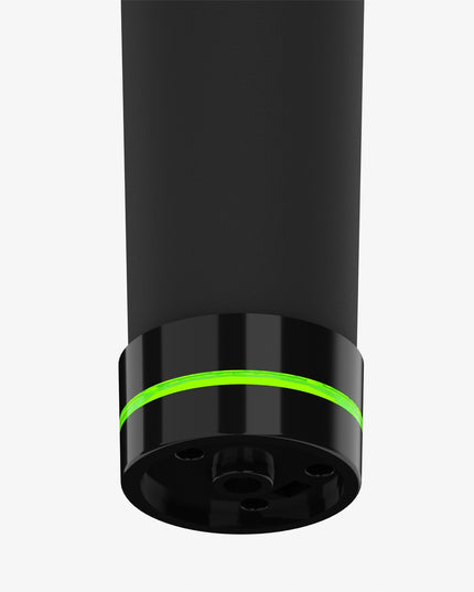 Masažo Pistoletas Panther 50