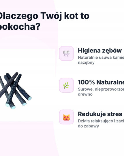 MATATABI lazdelės TOMI STICK katėms 5 vnt. natūralus kramtukas su katžole