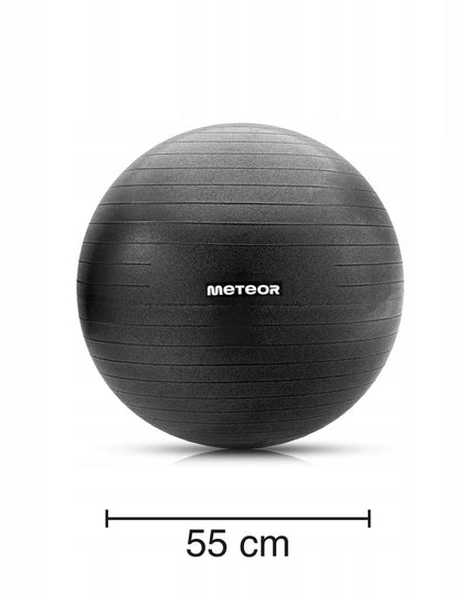 Meteor gimnastikos ir reabilitacijos kamuolys, 55 cm, su pompa