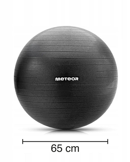 Meteor gimnastikos ir reabilitacijos kamuolys su pompa 65 cm