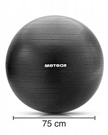 Meteor gimnastikos kamuolys 75 cm su pompa