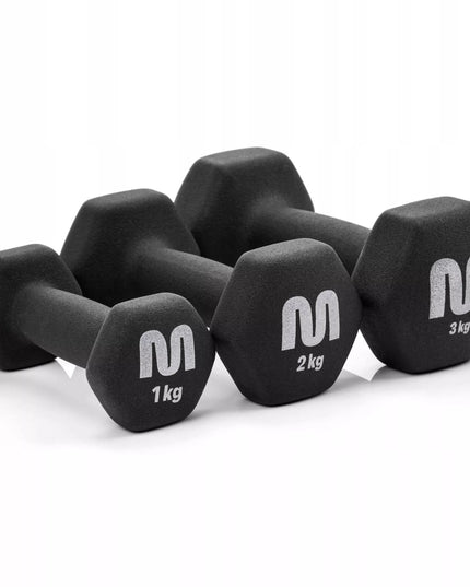 Meteor ketaus svarmenų rinkinys su stovu 2x3-2-1 kg