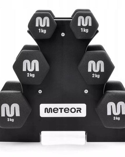 Meteor ketaus svarmenų rinkinys su stovu 2x3-2-1 kg
