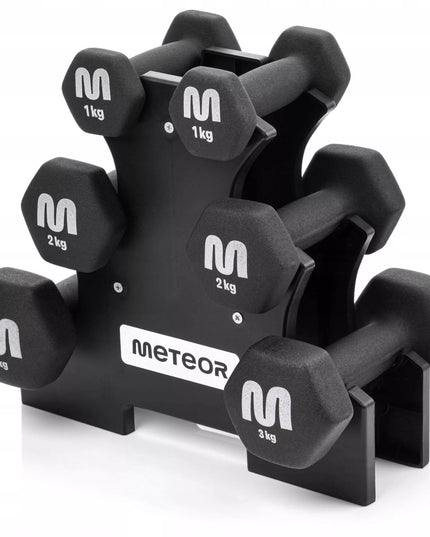 Meteor ketaus svarmenų rinkinys su stovu 2x3-2-1 kg