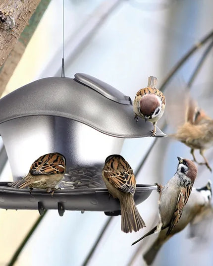 Moderni paukščių lesykla BirdyFeed Square, atspari šaltoms žiemoms